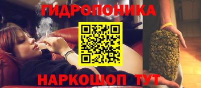 твердый Лесосибирск