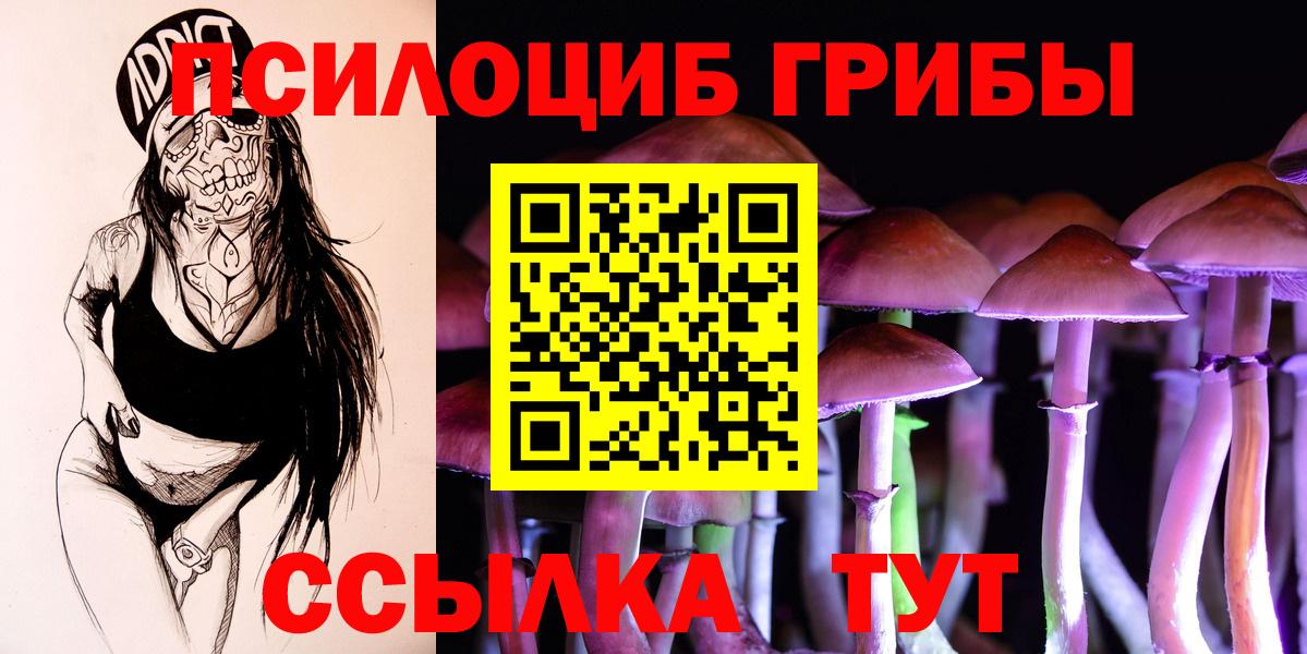 Псилоцибиновые грибы Psilocybine cubensis Добрянка