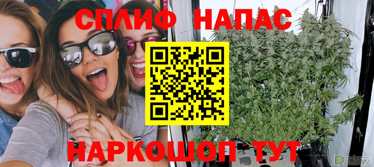 Бошки Шишки конопля  Марихуана конопля  Вход с VPN  Добрянка 